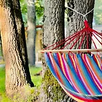 Pop аrt Πριμόρσκο