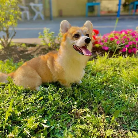 Pop аrt Приморско