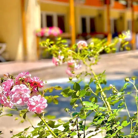 Pop аrt Приморско