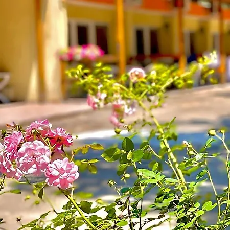 فندق Pop аrt بريمورسكو